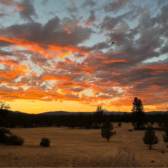 Meet your Posher, Kevin - Picture 2 of 2